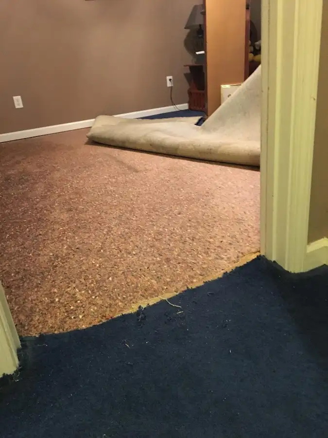 Carpet pad removal revealing water damage during Drying & Dehumidification in Clewiston