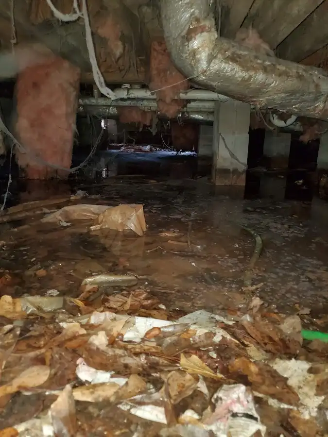 Crawl space flood assessment for Leak Detection & Repair in Clewiston